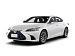 Lexus ES, VII Рестайлинг 2 Premium (ID: 255170)