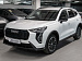 Haval City Jolion Premium (ID: 232566)