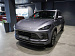 Esteo MX Флагман (ID: 284426)