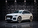 Audi Q5 Sportback, II (GU) Base (ID: 269955)