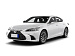 Lexus ES, VII Рестайлинг 2 Premium (ID: 255183)