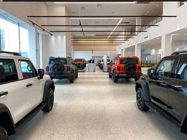 DONGFENG БорисХоф Юг