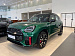 Mini Countryman, III John Cooper Works Trim (ID: 260772)
